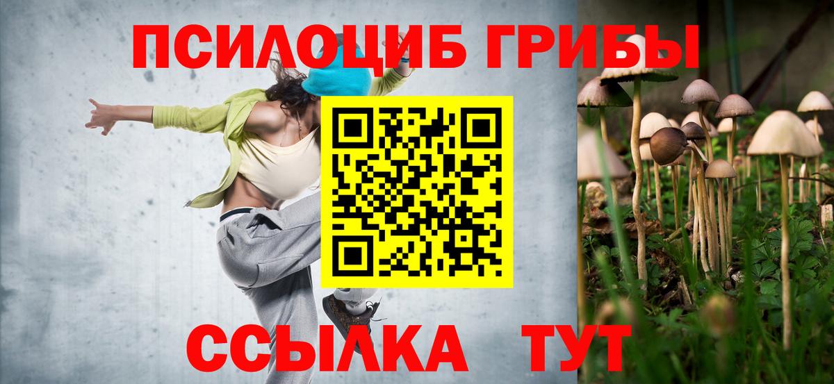 дарнет шоп  Галлюциногенные грибы Psilocybe  Вход с VPN  Южно-Сахалинск 