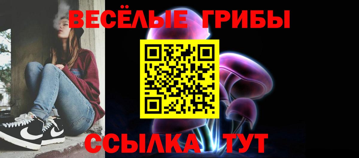 Псилоцибиновые грибы Cubensis Южно-Сахалинск